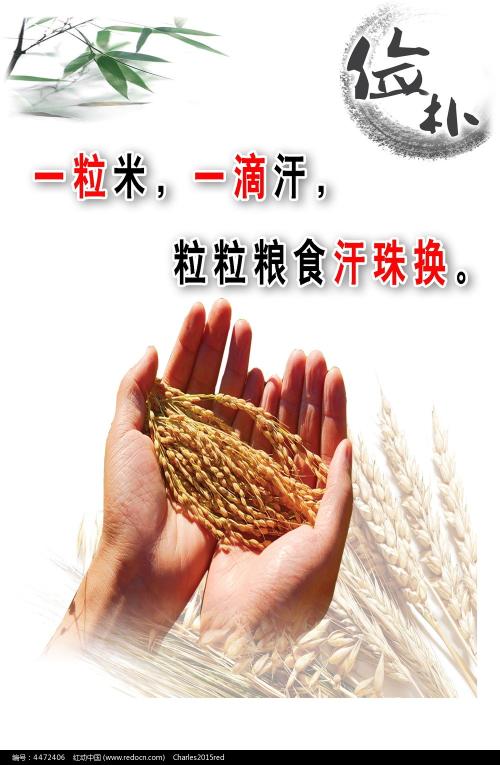 办做个兴业银行银流水存款凭条